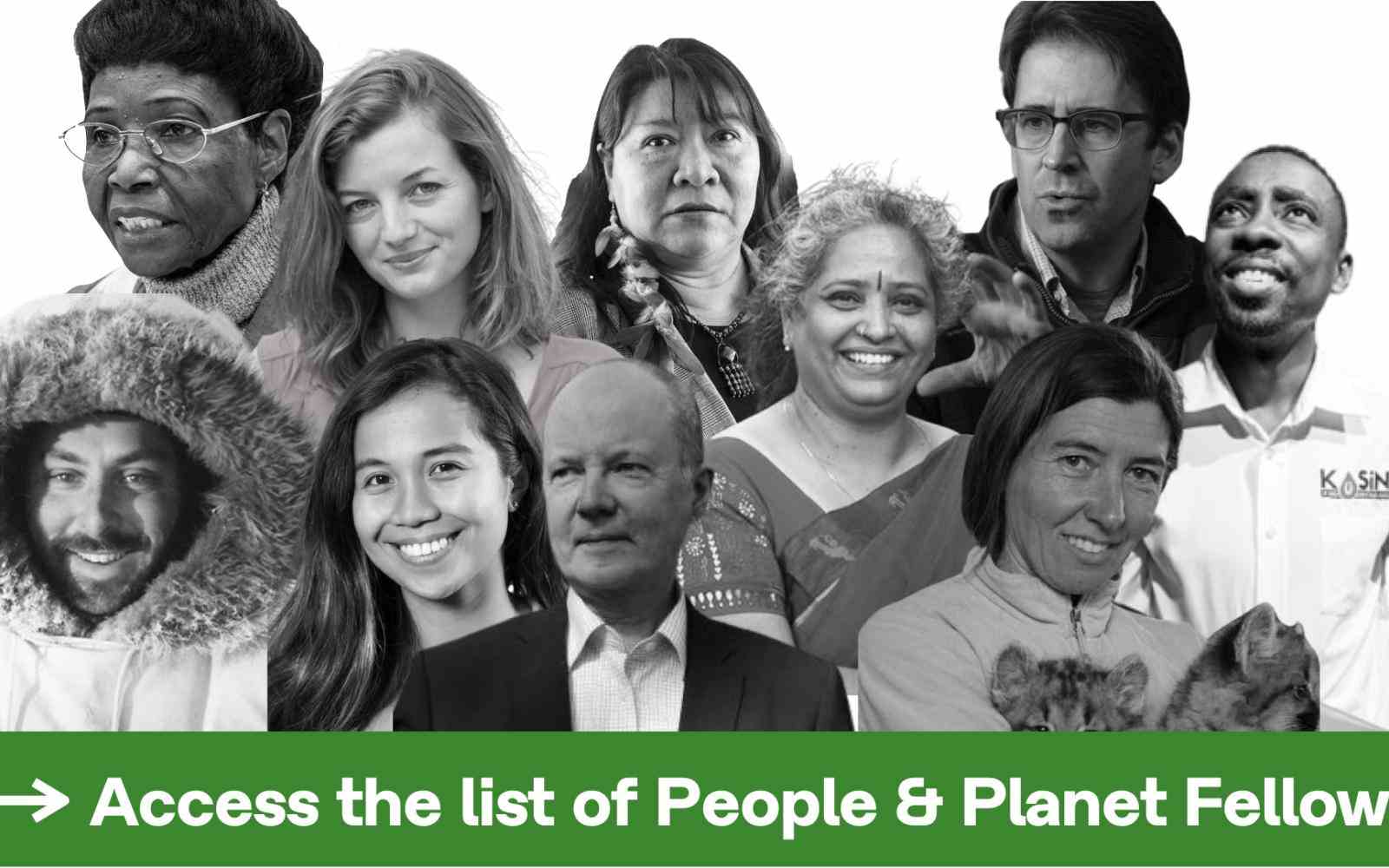 people climate fellows